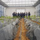 농부의꿈영농조합법인 이미지