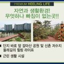 현대 사원아파트 앞 공원 이미지