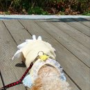 잠꾸러기 - 파주시 가재울로93번길 25-9 | 잠꾸러기