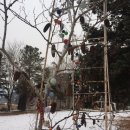 설하관광농원 이미지