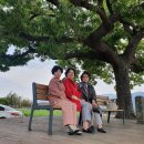 늘봄추어탕 이미지