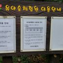 용인아이숲유아숲체험원 이미지