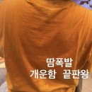 성주핏