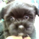 인헌초등학교 앞 이미지