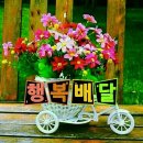 그림같은집 이미지