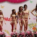 제임스딘롯데마트 - 창원시 마산합포구 신마산시장길 33 | 제임스딘롯데마트