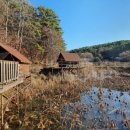 봉바위농원 이미지