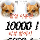 나우휘트니스2nd 이미지