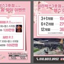 피티박스(PT BOX) 이미지