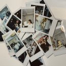 찐이국수김밥 | 성립, 바다회사랑, 신촌노을, 스시정인, 누니케이크, 느루, 히카케이크, 팜티진쌀국수, aff, 보들이쭈꾸미]