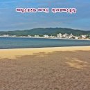 충남조경 Daum카페