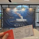 부산발레시어터 ’10주년 발레 갈라’ | 모스크바 라 클라시크 발레단 백조의 호수 부산 후기