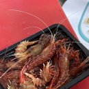 울릉도 여행 독도새우, 오징어 회 포장 울릉오징어회타운 방문 후기