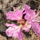 탁구교실 중급 이미지