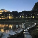 유성푸드 | 2025 유성재즈&amp;맥주 페스타 솔직 후기! 맥주, 푸드트럭, 분위기 완벽