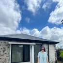 연화하가 이미지