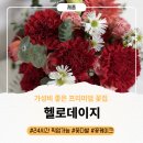 다산꽃집 헬로데이지 카네이션케이크 후기
