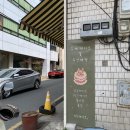 전북대 11초 내돈내산 후기 예쁜 수제케이크 꽃 예약 무인매장 전북대 당일케이크