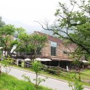 힐리언스 이미지