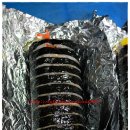 김밥천국 정읍터미널점 이미지