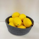 레몬이네 그루밍샵 이미지