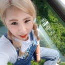 더조은팜 이미지