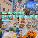강화도 김포 대명항 수산시장 강화 어시장 호남호 회포장 해산물 구입 가격 후기