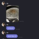 엑스페스토
