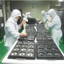 에스알씨 이미지