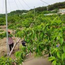 광택농장 이미지