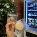 셀터커피