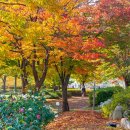 상록햇빛발전소 | 경기도 단풍 여행 가볼만한곳 안산 노적봉공원