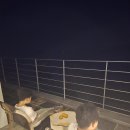 비고리조트 3 네이버블로그