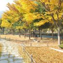 명성의원 이미지