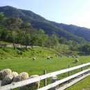 김유정로 이미지