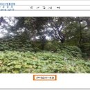 연제구-134 이미지