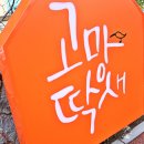 고망딱새 이미지