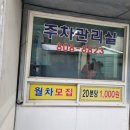 지세스성형외과의원 이미지