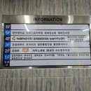 게코빌리지 | [부평] 크레스티드게코 분양은 역시 인천 파충류샵 게코빌리지에서!