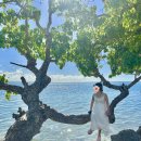 (주)서울여객 | 괌 항공권 인천 에어서울 탑승후기 : 기내용캐리어 크기 기내식 확인 필수!