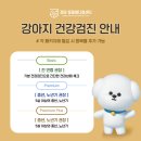 정담 동물메디컬센터 이미지