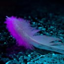 가족쉼터 이미지