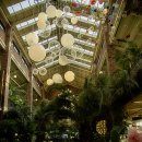 프레스트 이미지