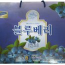 스카이 유통 이미지