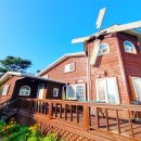 소나무숲펜션 | 서산펜션 펜션파인씨, 소나무 숲과 바다 품은 서산독채펜션 후기