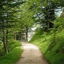 연서정형외과의원 이미지