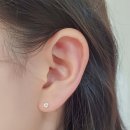 대지로127번길 | 피어싱 부위별 회복 빠른 순위 (귓볼,이너컨츠,헬릭스,트라거스,아웃컨츠,룩)