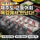 회포차마라도 | 시흥 목감 주민들이 숨겨둔 회맛집ㅣ고등어회 첫 도전 대성공