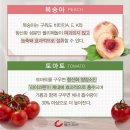 조은과일 - 세종특별자치시 보듬4로 9 | 조은과일