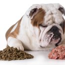 초복농장 이미지